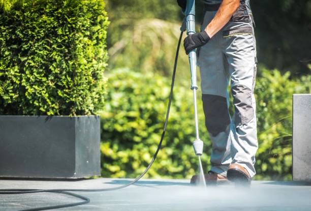 Best Patio and Deck Pressure Washing  in Holbrook, NY